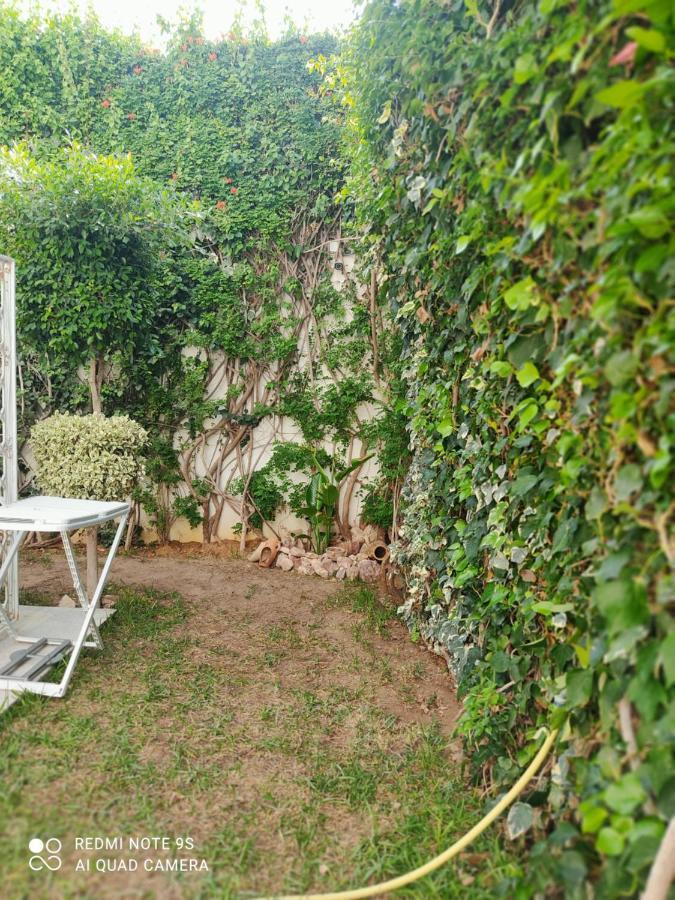 Etage De Villa Avec Jardin, Pres De L'Aireport Et Parking Prive Ariana Buitenkant foto