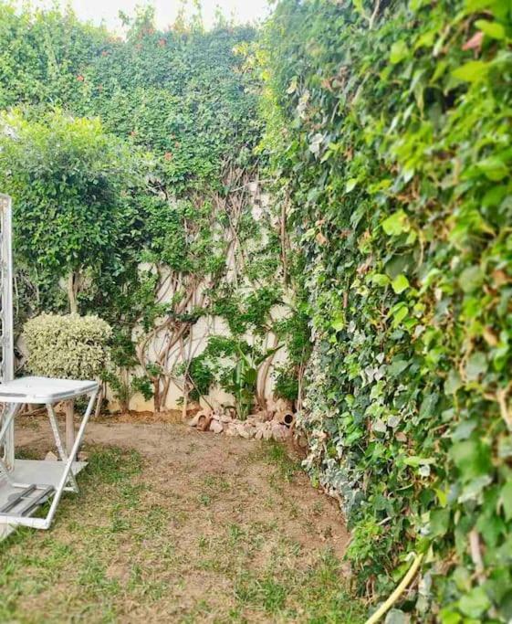 Etage De Villa Avec Jardin, Pres De L'Aireport Et Parking Prive Ariana Buitenkant foto
