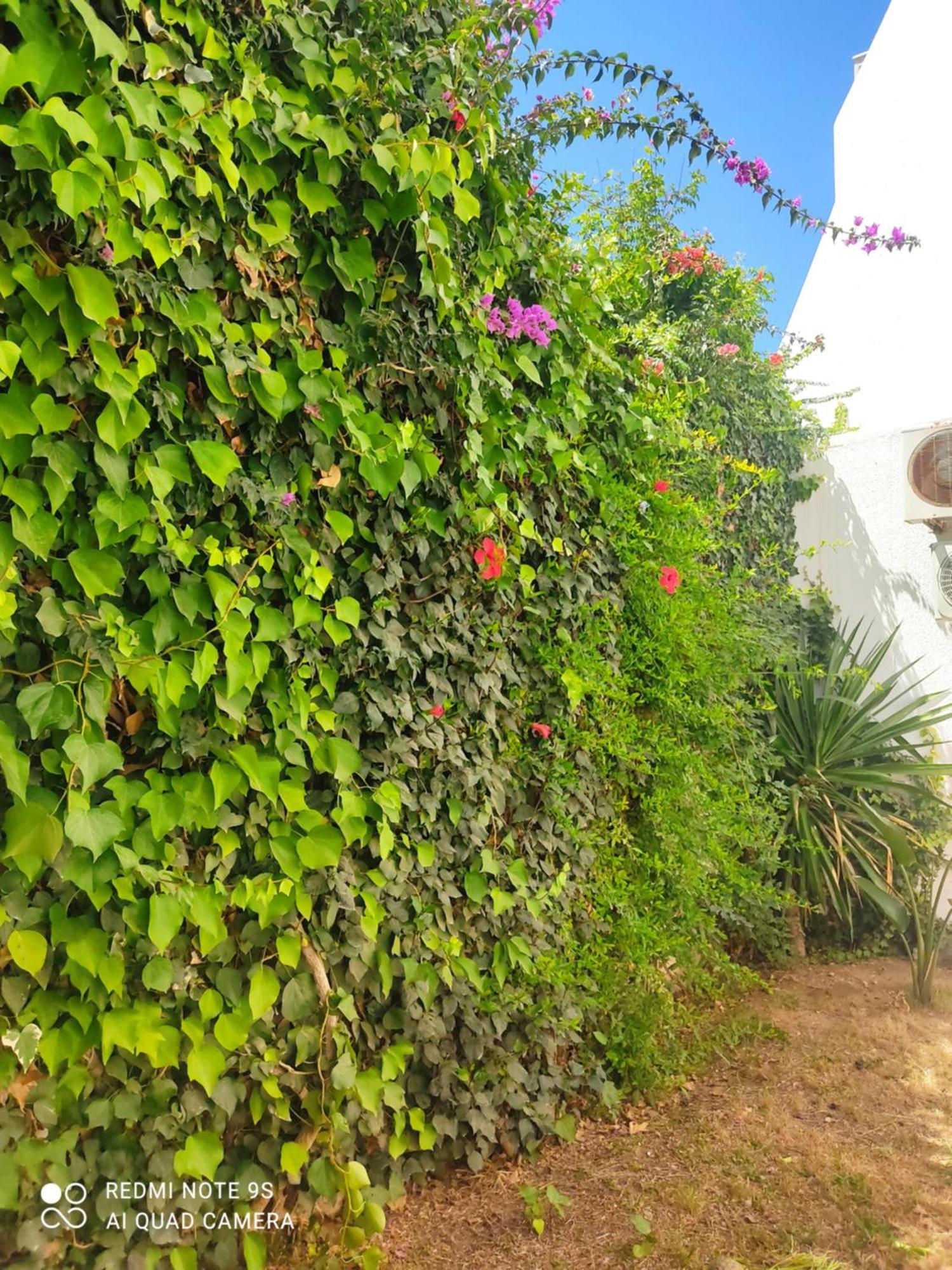 Etage De Villa Avec Jardin, Pres De L'Aireport Et Parking Prive Ariana Buitenkant foto