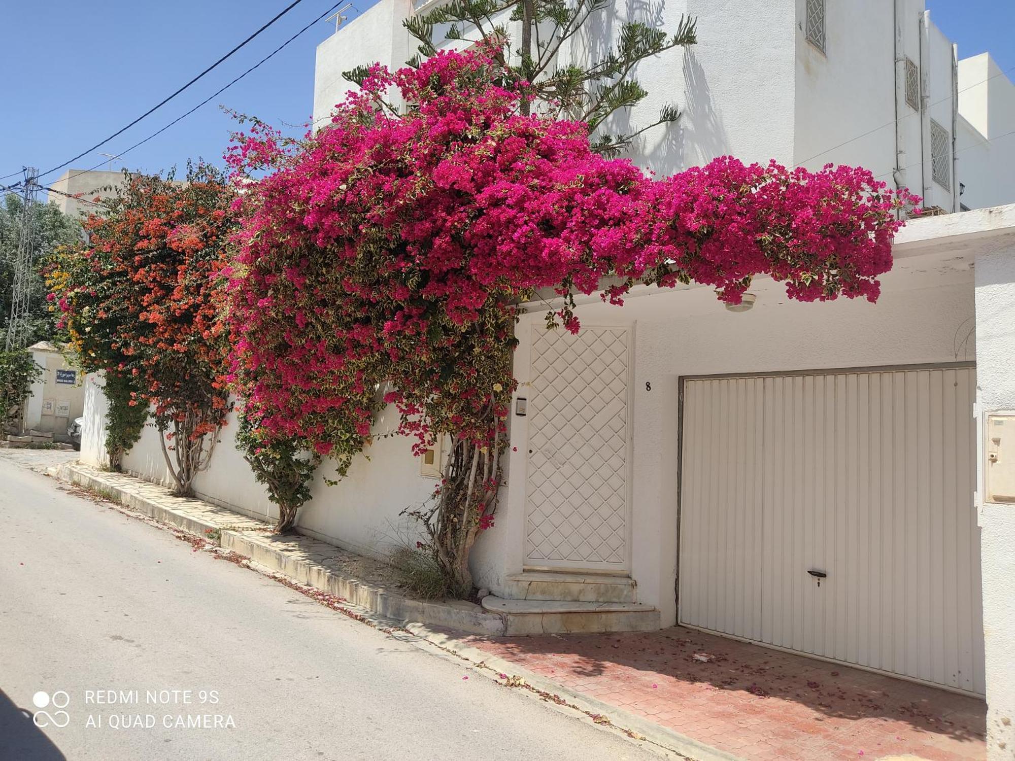 Etage De Villa Avec Jardin, Pres De L'Aireport Et Parking Prive Ariana Buitenkant foto