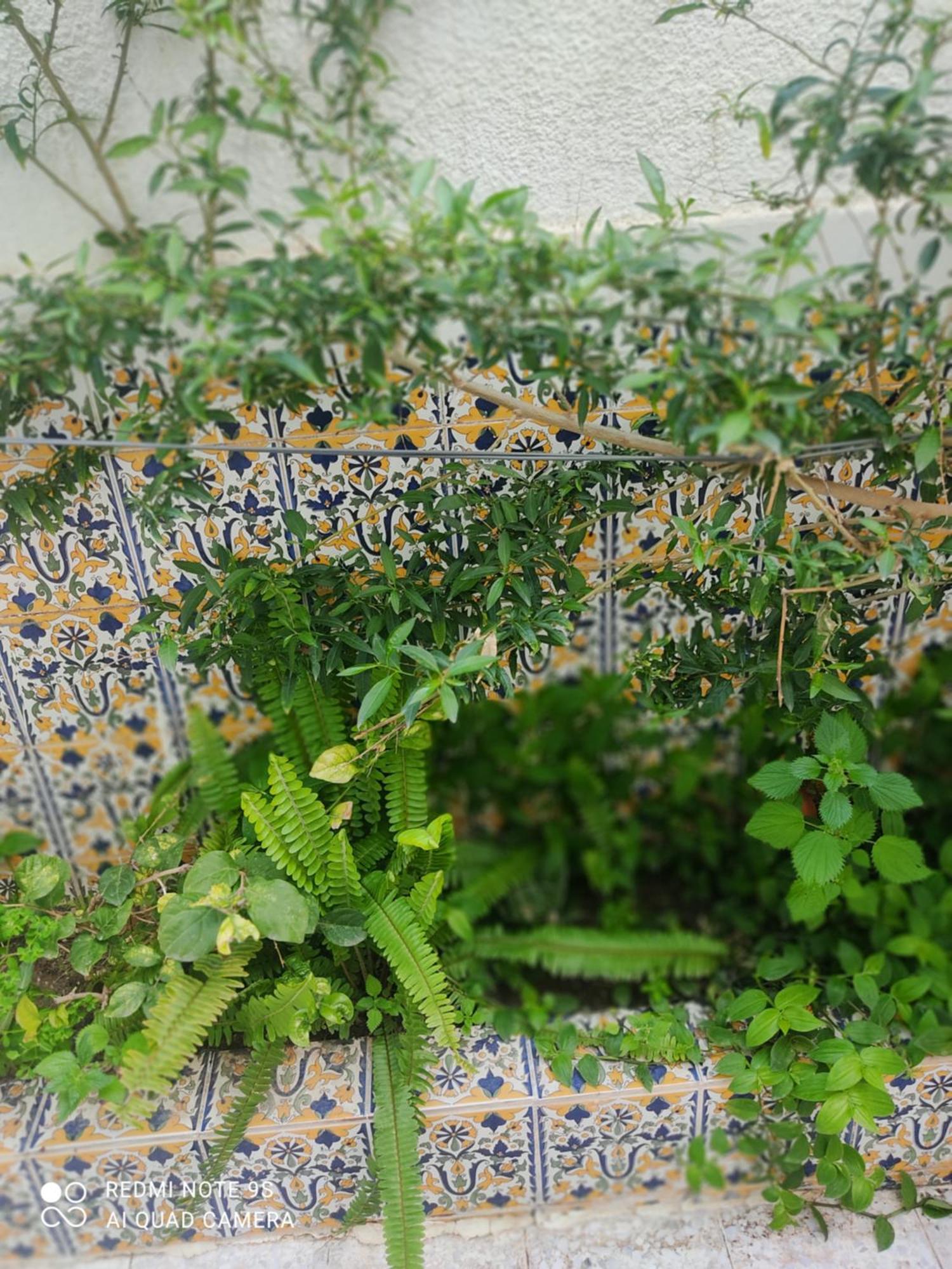 Etage De Villa Avec Jardin, Pres De L'Aireport Et Parking Prive Ariana Buitenkant foto